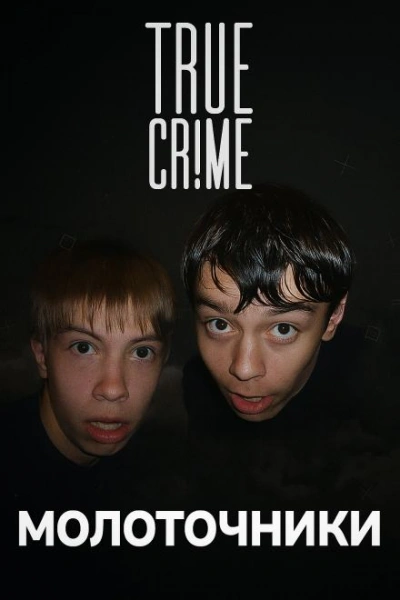 Аудиокнига Академгородок: молотки в ночи Иркутска