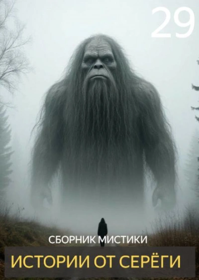 Аудиокнига Истории от Серёги 29