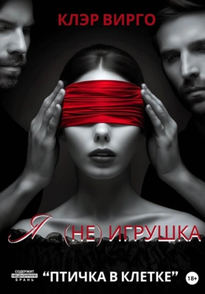 Аудиокнига Я (не) игрушка