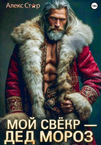 Аудиокнига Мой свёкр – Дед Мороз