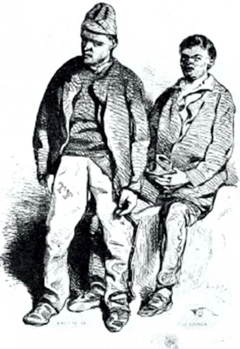 Аудиокнига Острожный цветок