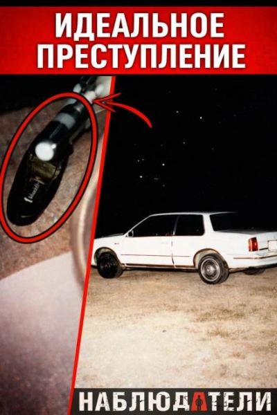 Идеальная подстава почти сработала