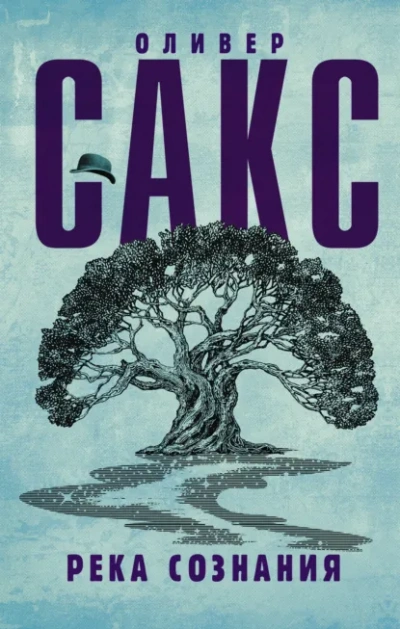 Аудиокнига Река сознания