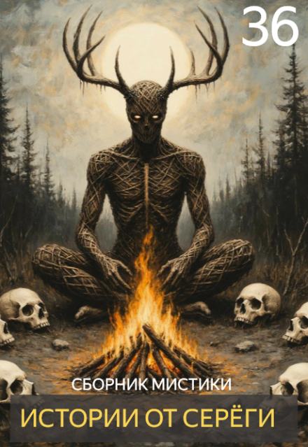 Аудиокнига Истории от Серёги №36