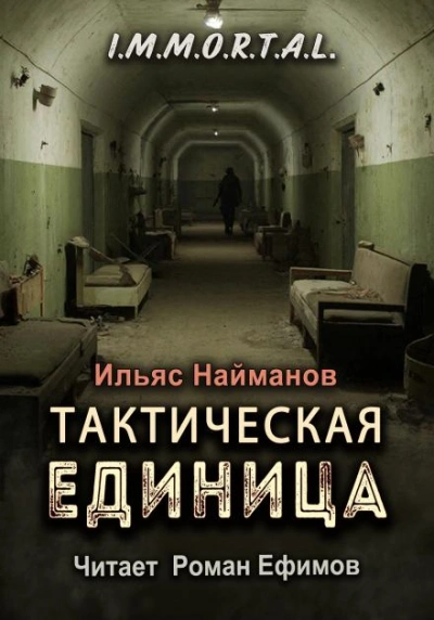 Аудиокнига Тактическая единица