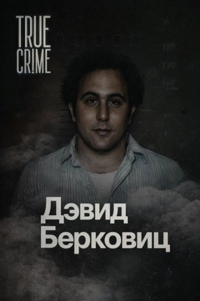 Аудиокнига Письма, которые взорвали город