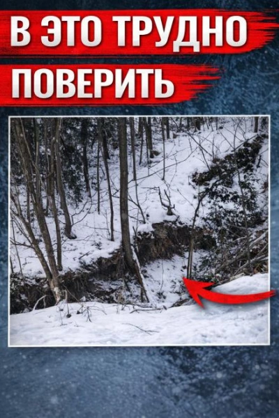 Аудиокнига Оранжевое свечение у дороги