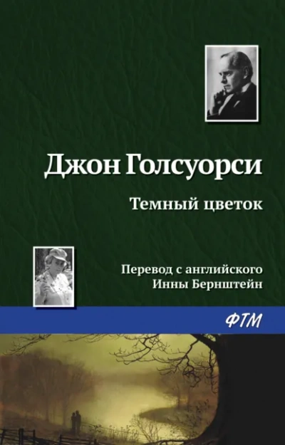 Аудиокнига Темный Цветок