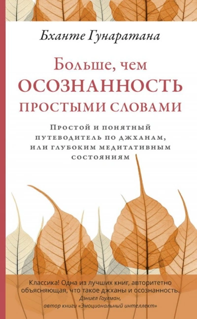 Аудиокнига Больше, чем осознанность простыми словами. Простой и понятный путеводитель по джханам, или глубоким