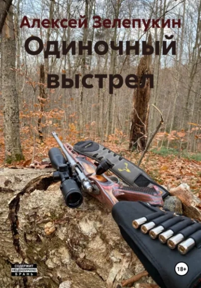 Аудиокнига Одиночный выстрел