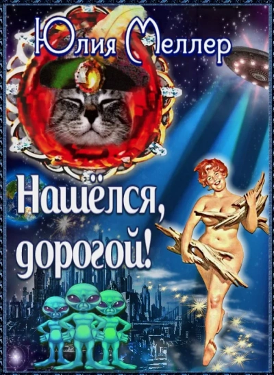 Аудиокнига Нашёлся, дорогой!