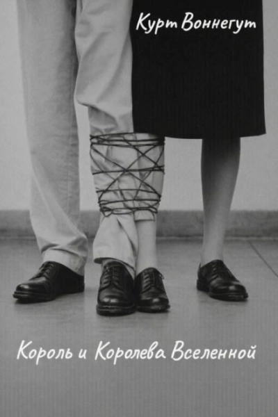 Аудиокнига Король и королева Вселенной
