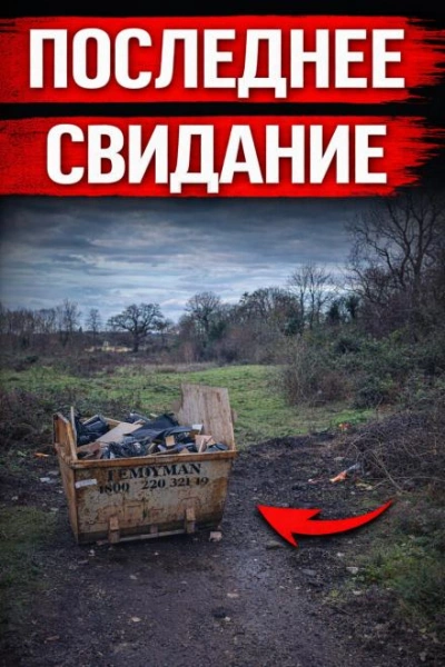 Аудиокнига Исчезновение, которое потрясло Британию