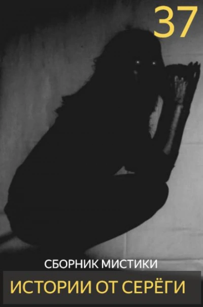 Аудиокнига Истории от Серёги 37