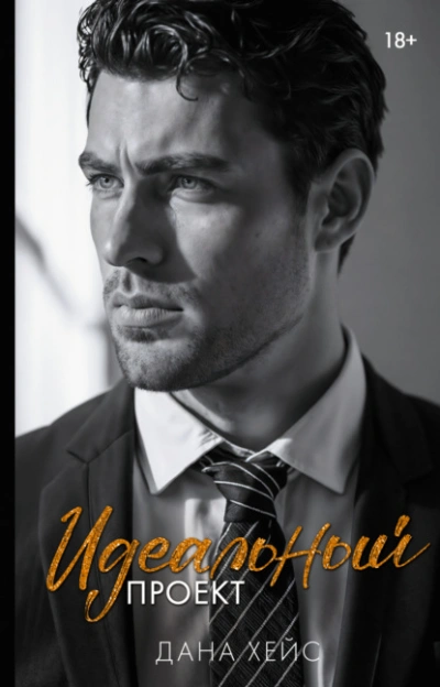 Аудиокнига Идеальный проект