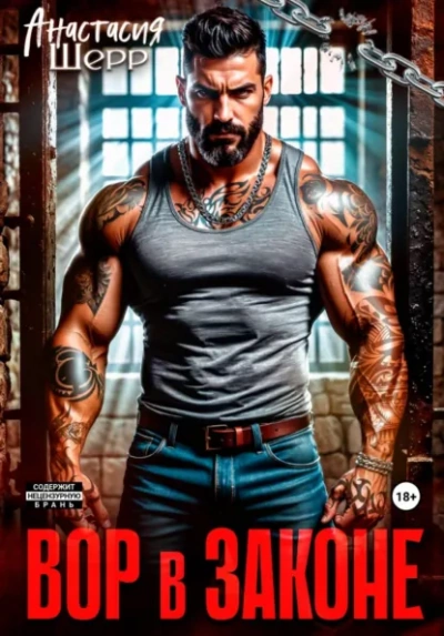 Аудиокнига Вор в законе