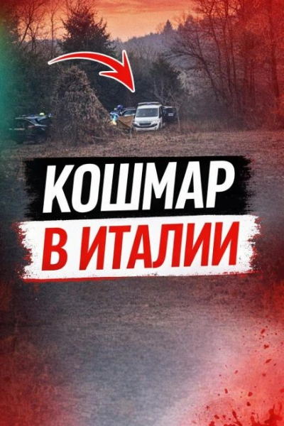 Аудиокнига Чемодан среди леса