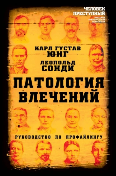 Аудиокнига Патология влечений. Руководство по профайлингу