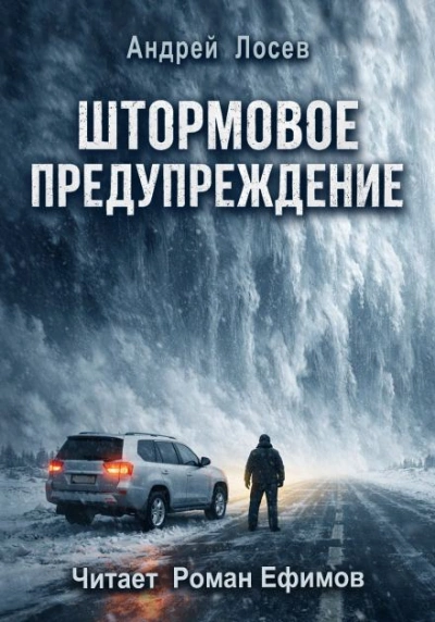 Аудиокнига Штормовое предупреждение