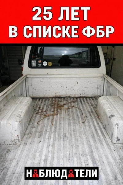Аудиокнига Кислотная месть
