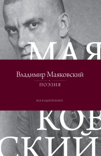 Аудиокнига Поэзия. Все в одной книге