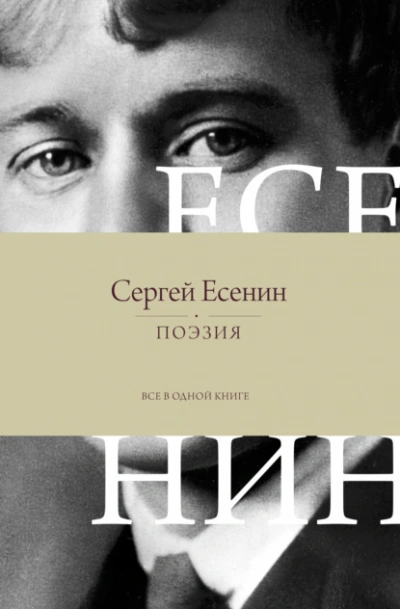 Аудиокнига Поэзия. Все в одной книге