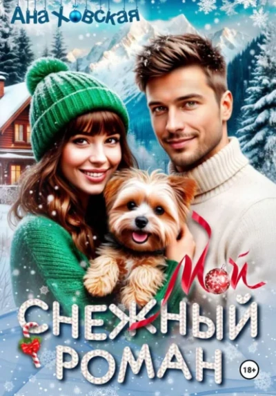 Аудиокнига Мой снежный роман