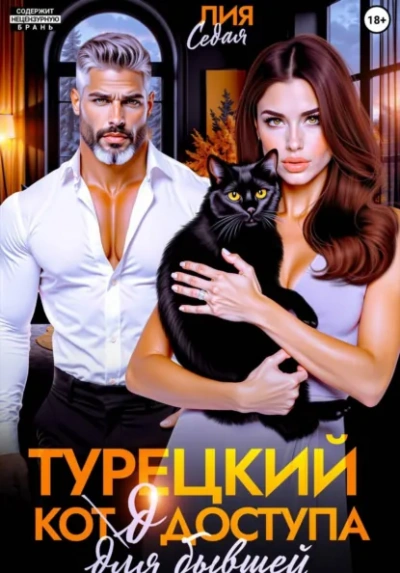 Аудиокнига Турецкий код доступа для бывшей