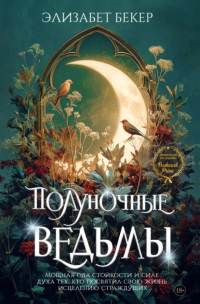 Аудиокнига Полуночные ведьмы