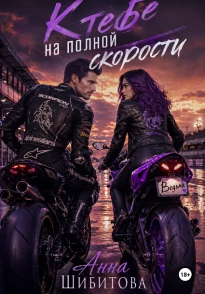 Скачать аудиокнигу К тебе на полной скорости
