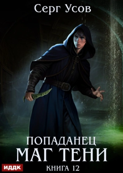 Маг Тени. Книга 12 - Серг Усов