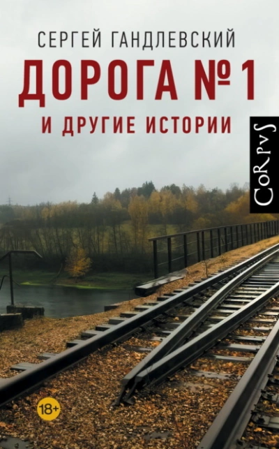 Аудиокнига Дорога №1 и другие истории