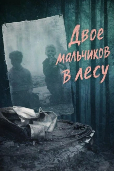 Аудиокнига Двое мальчиков в лесу