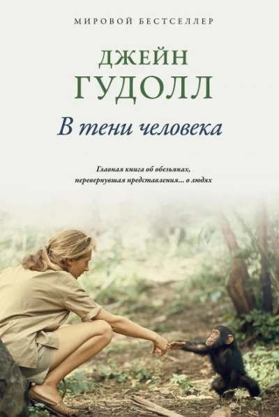 Аудиокнига В тени человека