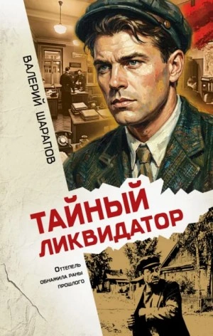 Тайный ликвидатор - Сергей Жоголь