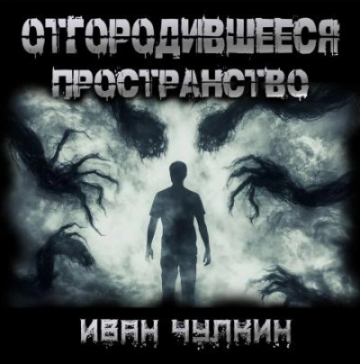 Аудиокнига Отгородившееся пространство