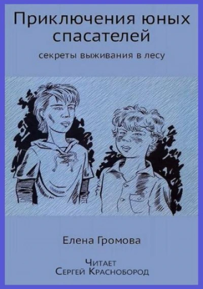 Аудиокнига Приключения юных спасателей