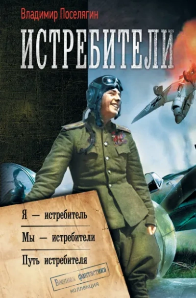 Путь истребителя - Владимир Поселягин