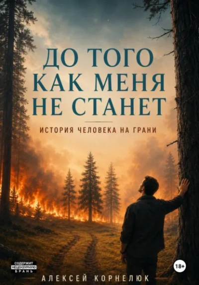Аудиокнига До того как меня не станет. История человека на грани