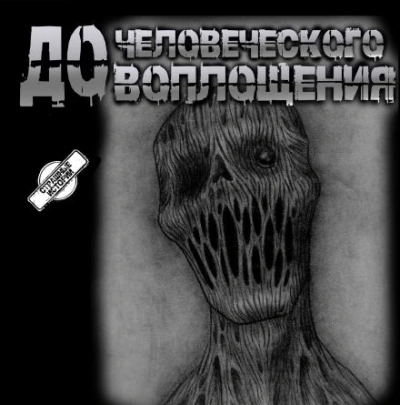 Аудиокнига До человеческого воплощения