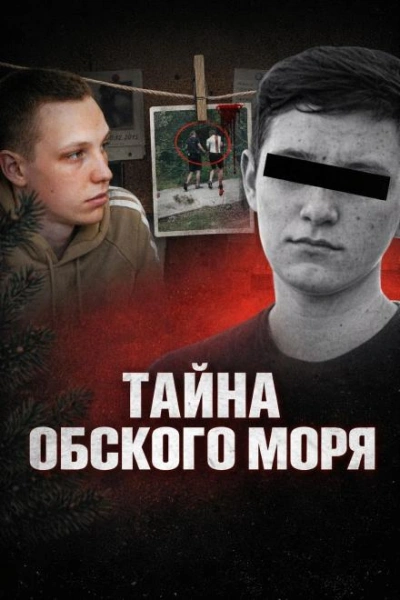 Скачать аудиокнигу Тайна Обского моря