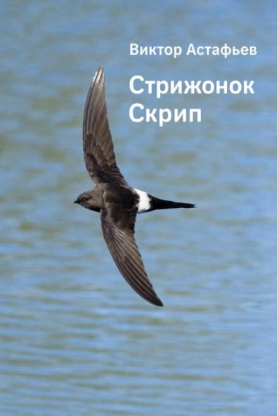 Аудиокнига Стрижонок Скрип