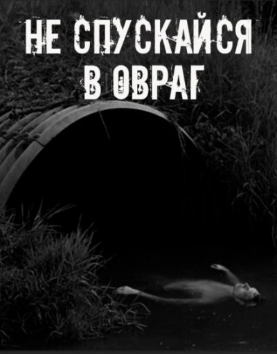 Аудиокнига Не спускайся в овраг