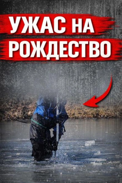 Аудиокнига Исчезла в Рождество