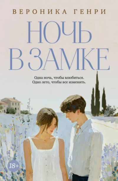 Аудиокнига Ночь в замке