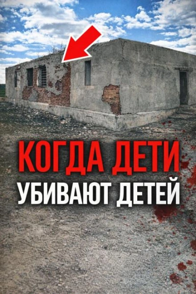 Аудиокнига Школьная система смерти