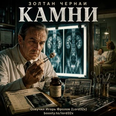 Аудиокнига Камни