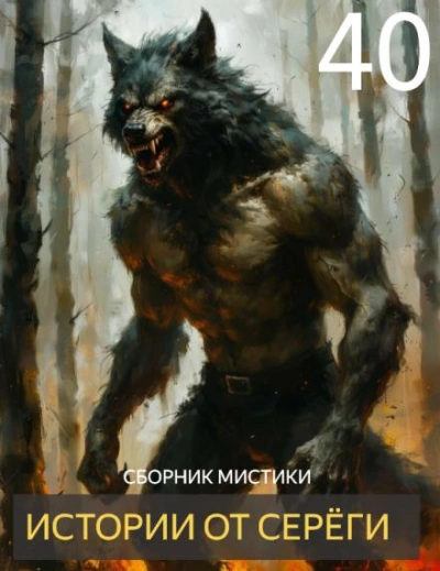 Аудиокнига Истории от Серёги 40