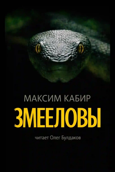 Аудиокнига Змееловы. Исцеление