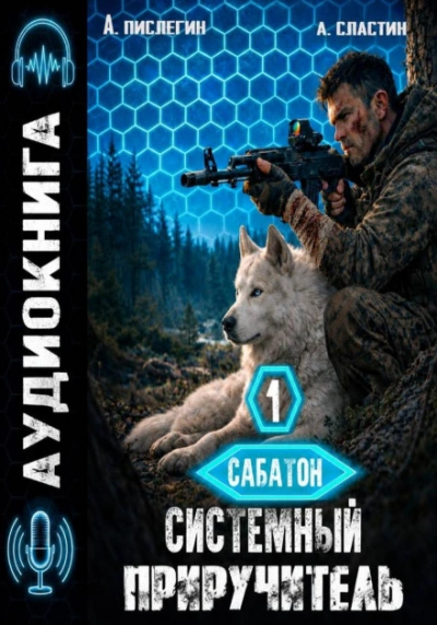Аудиокнига Системный приручитель 1